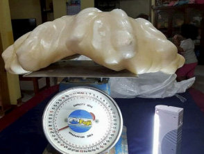 pearl from a giant clam